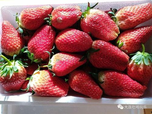 娱乐吃瓜酱草莓